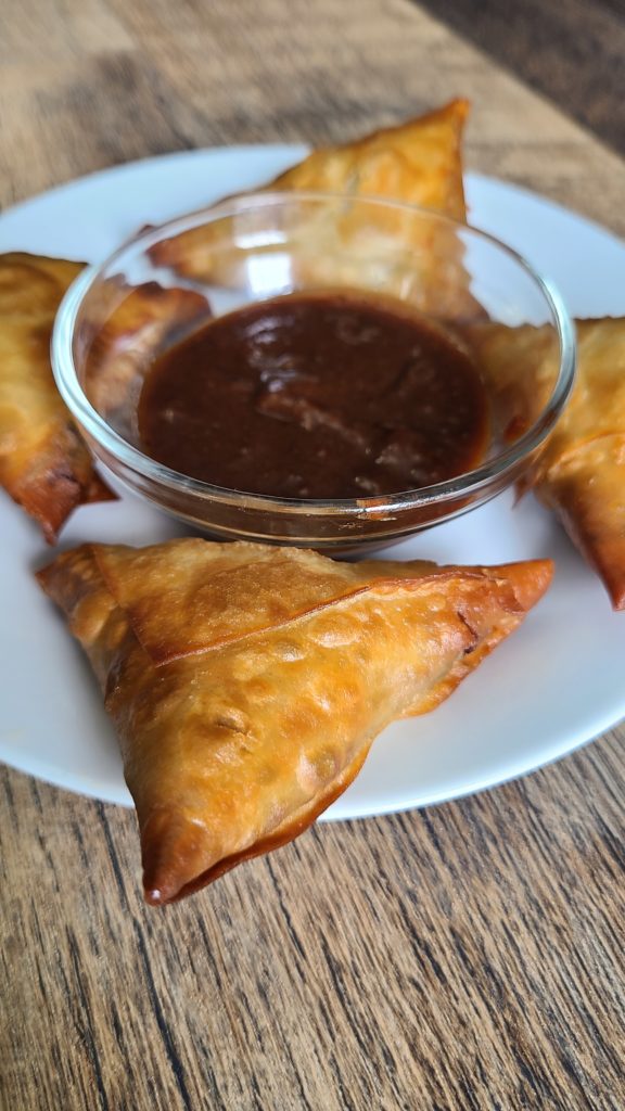 spicy beef samosa