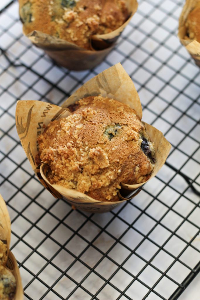 blueberry muffins