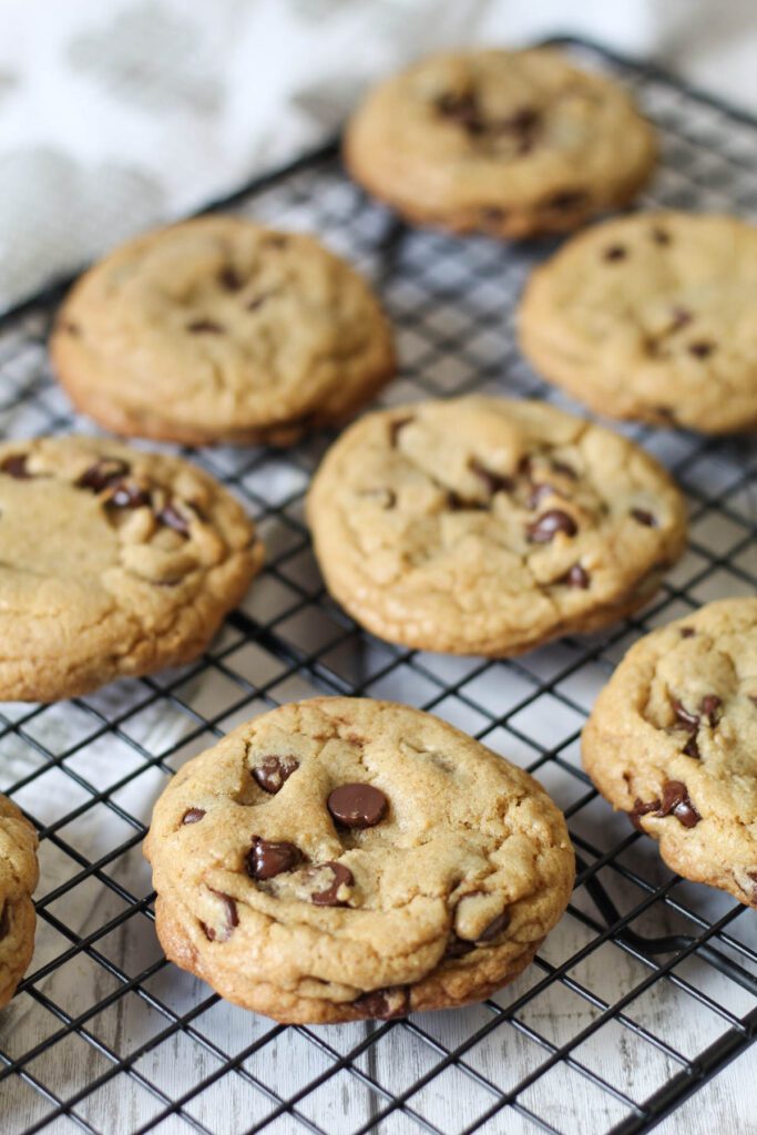 chocolate chip cookies