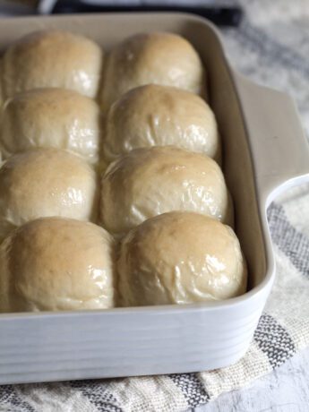 dinner rolls