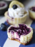 lemon blueberry mini cheesecakes