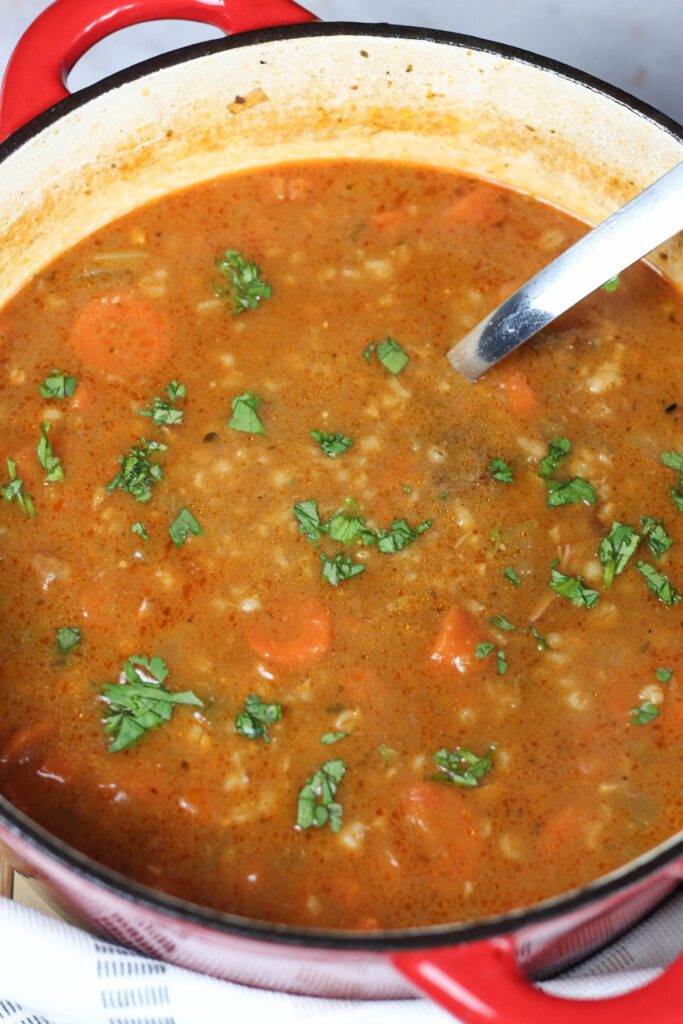 beef and barley soup