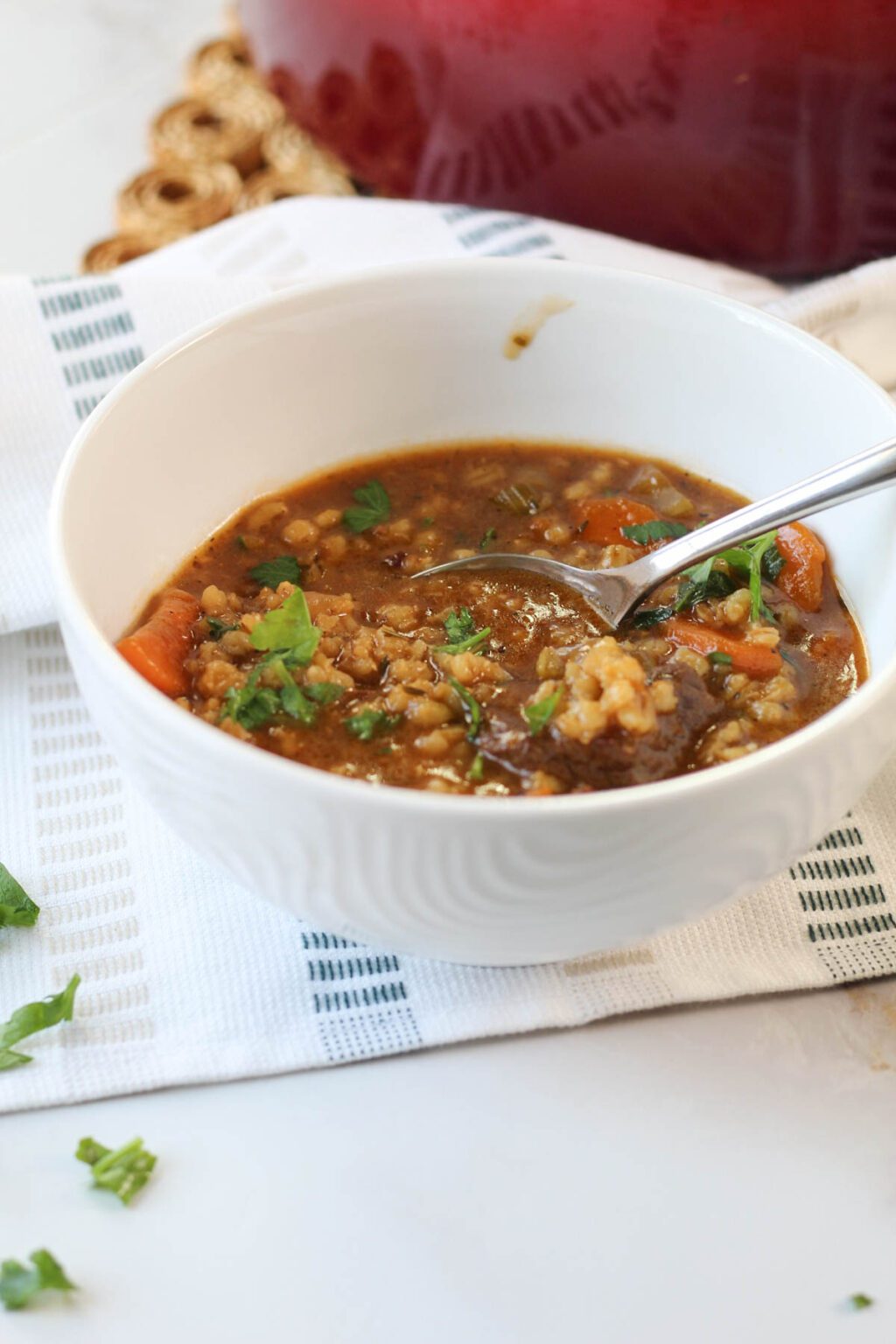 beef and barley soup